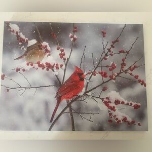 Twinkling Cardinal Winter Canvas Art